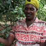 Kenyan Macadamia Nuts Risk Being Locked Out of the Export Market Kenyan Macadamia Nuts Risk Being Locked Out of the Export Market