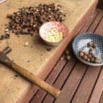 The Macadamia Shell Controversy in Kenya