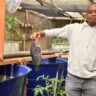 From Coding to Aquaculture: How Gabriel Thomas Kimeu Turned His Computer Science Degree into a Thriving Fish Farming Business
