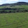 Insights from 20 Years of Grassland Research by Jena's Experiment: How Biodiversity Transforms Soil and Agriculture