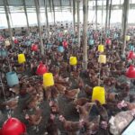 Diseases do Not Announce Their Arrival: Understanding and Preventing Poultry Diseases Diseases do Not Announce Their Arrival: Understanding and Preventing Poultry Diseases