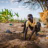 Digging 'zai' pits allows Esinyen to grow crops such as watermelon. Photo: WFP Kenya/Arete/Fredrik Lerneryd