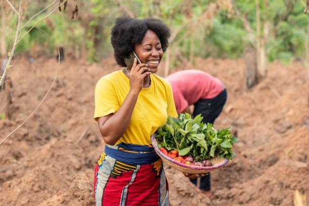 Evaluating the Impact of Mobile Phone-Based Agricultural Extension Interventions