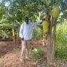 John Ouma: A Fruit Farmer Who Believes in Agriculture as the Key to Sustaining Families and Communities