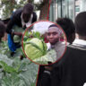 Dominic Orina: Teacher Who Empowered Students Through Agriculture Shortlisted for Global Prize