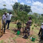 The Decline of Kirinyaga