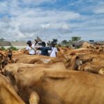 Collaborative Efforts to Enhance Dairy Farming, Food Security and Livelihoods in Marsabit County