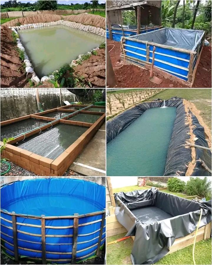 Unlock the Secret to Profitable Fish Farming: Understanding Fish Pond Capacity