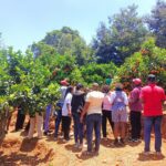 Farmer Field Visits: A Powerful Tool for Agroecology Adoption in Kenya # Trending