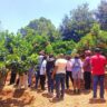 Farmer Field Visits: A Powerful Tool for Agroecology Adoption in Kenya