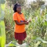 How Emmaculate Adhiambo is Revolutionizing Farming in Kenya: A Young Woman’s Journey to Agricultural Success