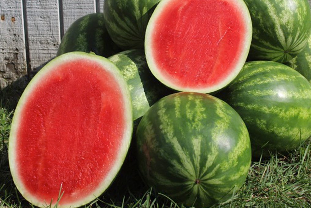 Understanding Seedless Fruits: A Comprehensive Exploration 2 Seedless fruits watermelon