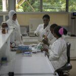 From Research to Reality: How 5 African Women Scientists Are Solving Food Security Challenges