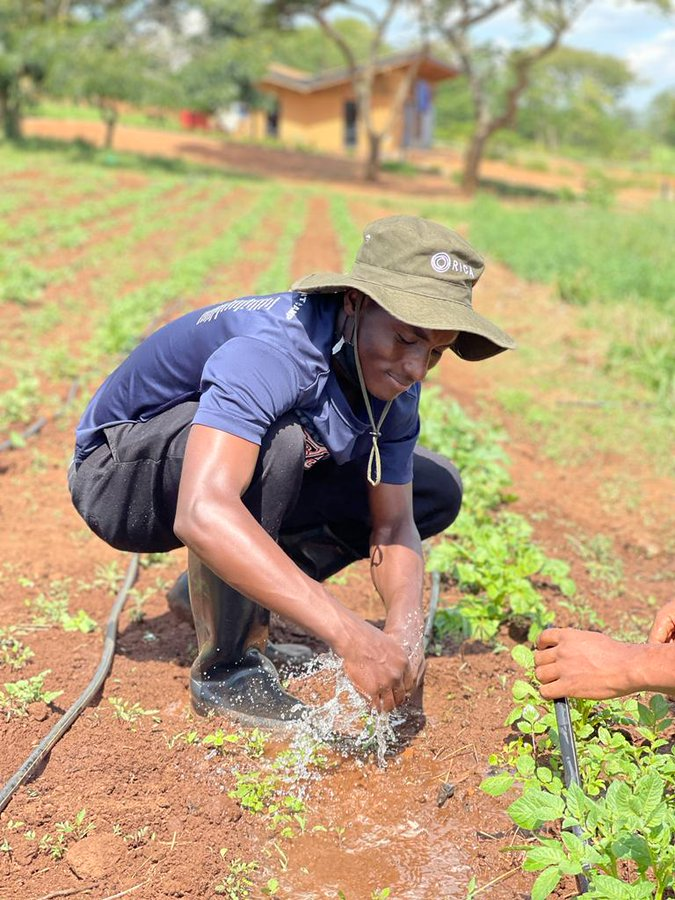 I am more than just an agronomist; I am a dedicated young man committed to transforming agriculture through technology and innovation.