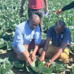 What Makes a Great Agronomist? Unpacking the Traits of Agricultural Excellence # Trending
