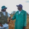 From Struggle to Success: How Regenerative Agriculture Transformed a Kitui Farmer’s Life