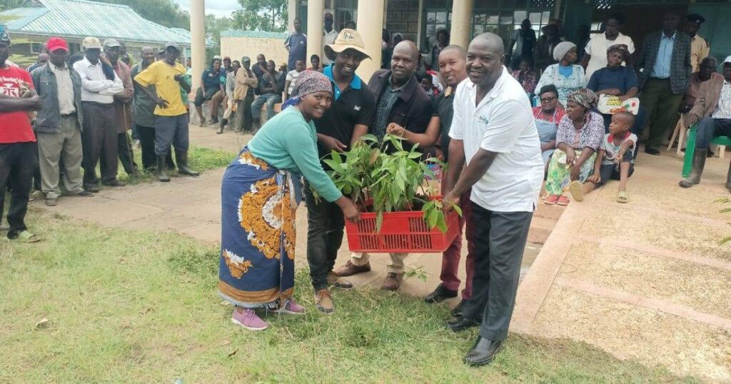 Empowering Farmers: Nakuru County’s Push for Hass Avocado Production Through Free Seedlings