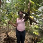From Famine Crop to Cash Crop: How Cassava is Transforming Lives in Kenya’s Kerio Valley From Famine Crop to Cash Crop: How Cassava is Transforming Lives in Kenya’s Kerio Valley