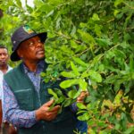 CS Mutahi Kagwe Vows to Raise Agriculture Budget to 10% in Major Policy Shift CS Mutahi Kagwe Vows to Raise Agriculture Budget to 10% in Major Policy Shift