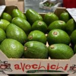 Kenyan Fuerte Avocados Now Cost More Than Hass — What’s Behind the Price Flip?