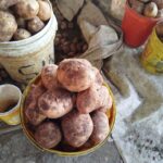 From Farm to Market: The Broken Economics of Potatoes in Kenya From Farm to Market: The Broken Economics of Potatoes in Kenya