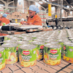 Smart Farming in Kenya: How Del Monte is Using Tech to Boost Pineapple Yields Smart Farming in Kenya: How Del Monte is Using Tech to Boost Pineapple Yields