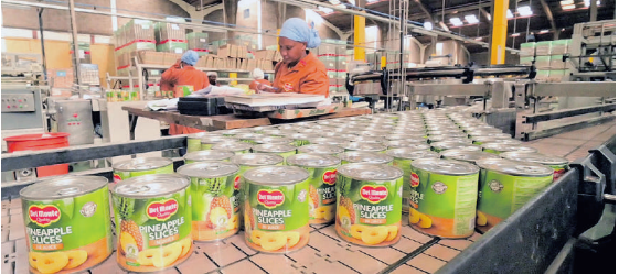 Smart Farming in Kenya: How Del Monte is Using Tech to Boost Pineapple Yields