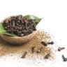 Clove Farming in Kenya: A Comprehensive Guide to Starting Your Clove Farming Journey