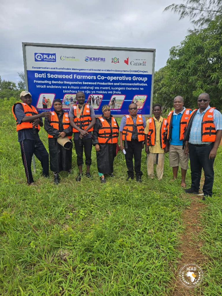 Stakeholders Call for Seaweed to Be Officially Recognized as a Cash Crop in Kenya