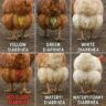 Understanding Chicken Diarrhea by Color: A Guide to Poultry Health