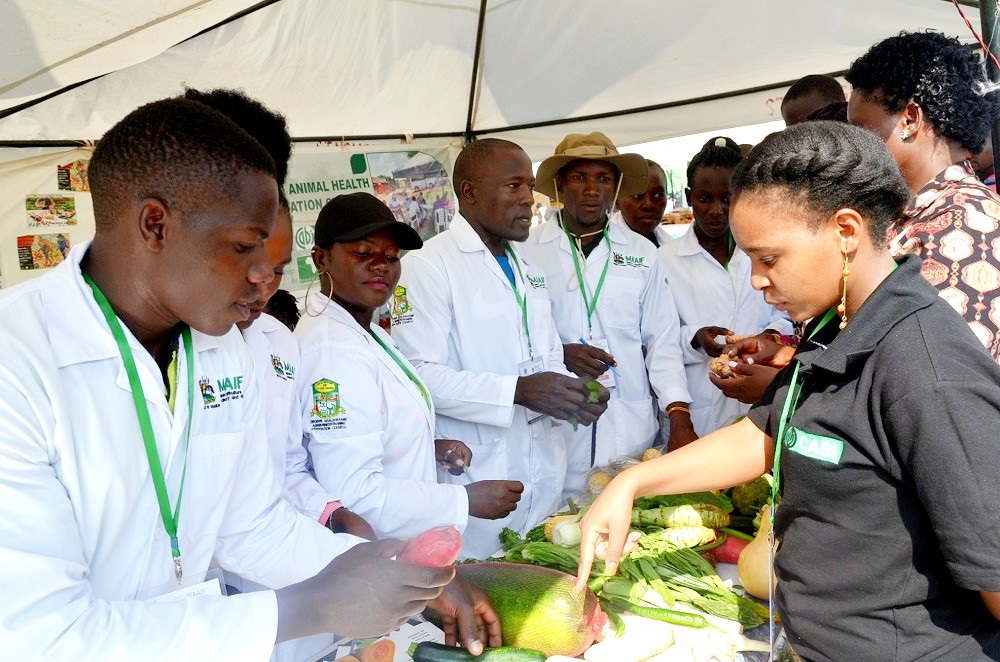 Empowering a continent: How youth and cooperatives are revolutionizing agriculture in East Africa 1 Lilian Owembabazi, a Research Assistant at CABI, visits some young plant doctors who, as part of the PlantwisePlus programme, help farmers diagnose their plant health problems and suggest possible solutions. The youth showcased their skills at the 29th National Agricultural Show in Jinja, Uganda, in 2023.