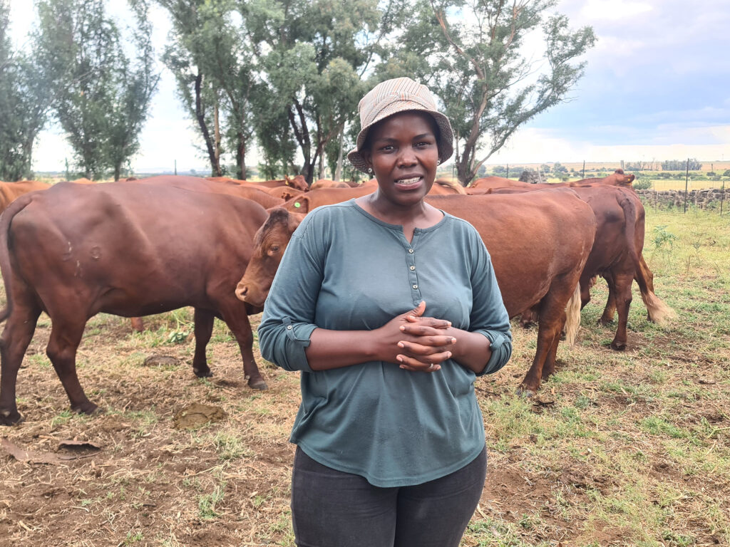 AI is helping women livestock farmers in Africa turn cows into bankable assets. Discover how a smartphone photo is unlocking loans for millions.