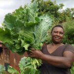 Agroecology is the Answer: What Kenya’s 2nd National Symposium Just Proved Agroecology is the Answer: What Kenya’s 2nd National Symposium Just Proved
