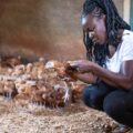 Success Story of Mercy Buleti: A Youth Empowered Through Poultry Farming