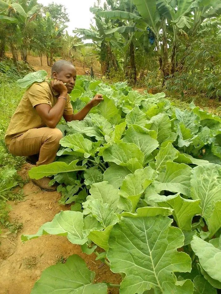 Mutua Kinyata: How a Simple Kitchen Garden Grew into a Model of Organic Farming