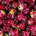 The Hibiscus Herbal Beverage Value Chain: From Field to Mug