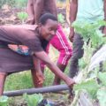From Widowhood to Farming Leader: The Inspiring Journey of Rose Amenya