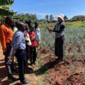 Turning 25 Acres into Opportunity: How Sisters in Kitale Are Inspiring Farmers Through Mixed Farming