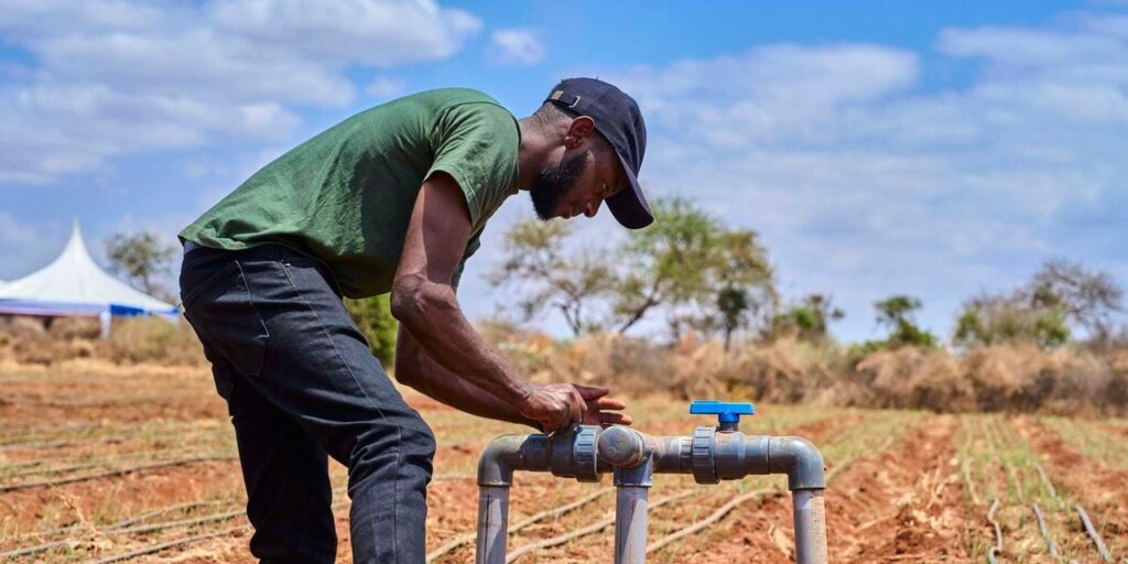 David Kamau inspects his onion crop in Emukutan Village, Kajiado County on August 28, 2025. He has deployed advanced drip irrigation technology to minimise water wastage.