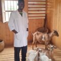 Care and Management of Pregnant and Lactating Goats