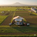 Structured Farming Agreements in Kenya, Modern Models Transforming Land Use and Agribusiness