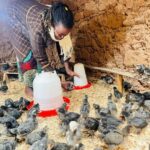 From 10 Chickens to a Shared Future: How PRISM United and Transformed a Rwandan Farming Community