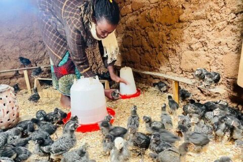 From 10 Chickens to a Shared Future: How PRISM United and Transformed a Rwandan Farming Community