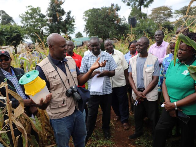 Farmer Field Schools Kenya