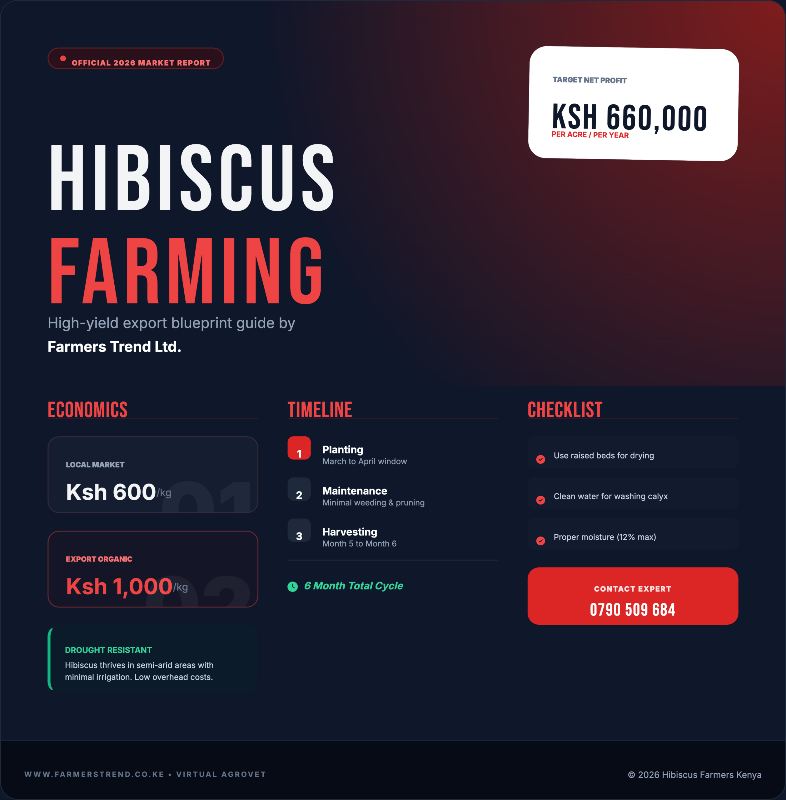 Hibiscus Farming in Kenya: The 2026 Blueprint for Roselle Exports and Local Profits