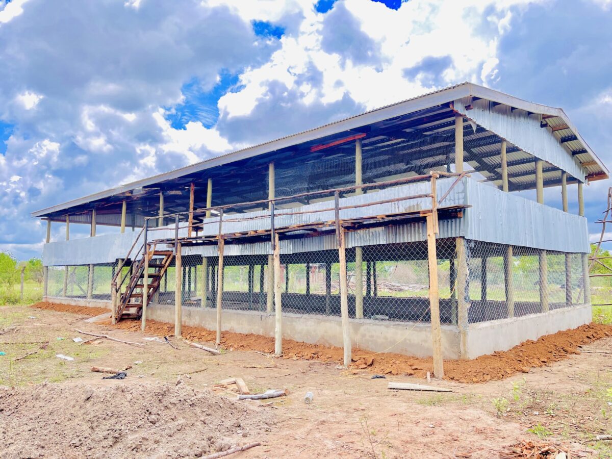 A completed poultry house with proper ventilation and roofing, ready to accommodate birds, showcasing successful poultry house design Kenya implementation.
