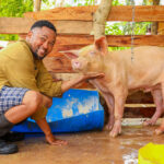 Pig Farming in Tsavo Kenya