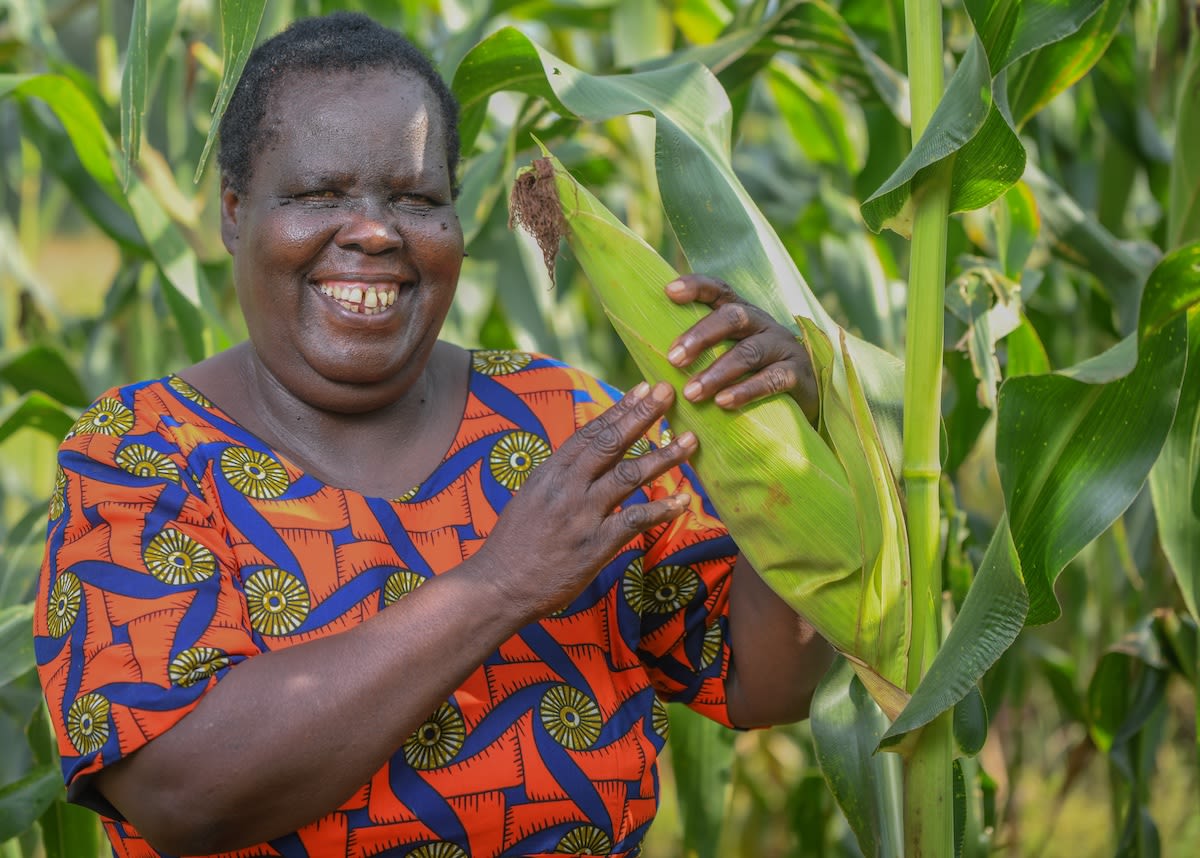 A farmer poses for a photo holding her mature maize stem with a very big cob, smiling