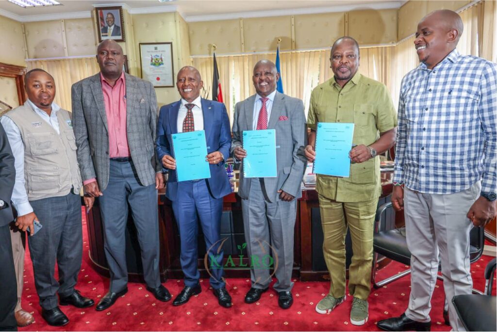 KALRO Research Centre in Nyeri Kenya Established as County Allocates 20 Acres for Agricultural Innovation 1 KALRO Research Centre in Nyeri Kenya Established as County Allocates 20 Acres for Agricultural Innovation