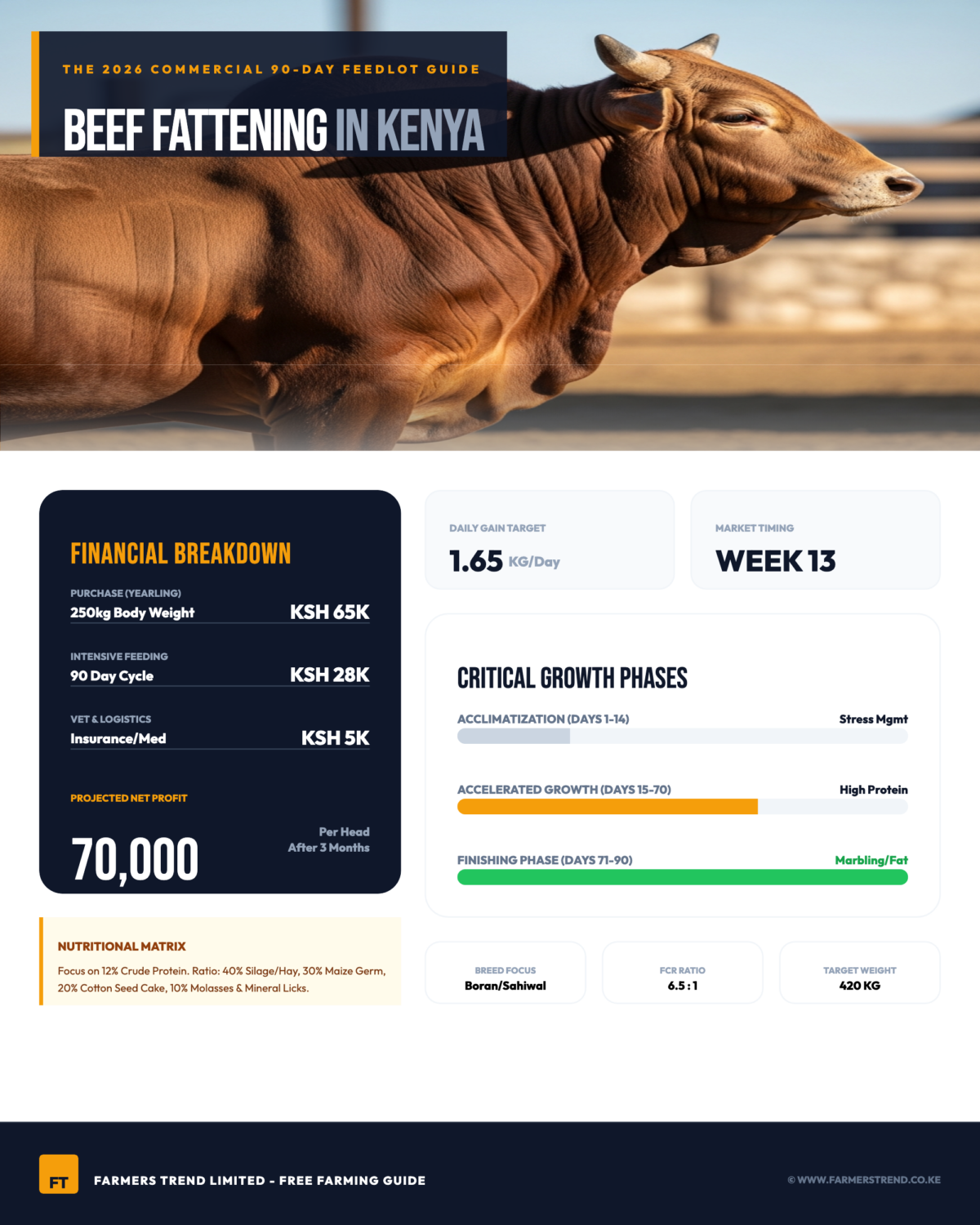 Beef Cattle Fattening in Kenya 2026 - The Complete 90-Day Commercial Feedlot Guide